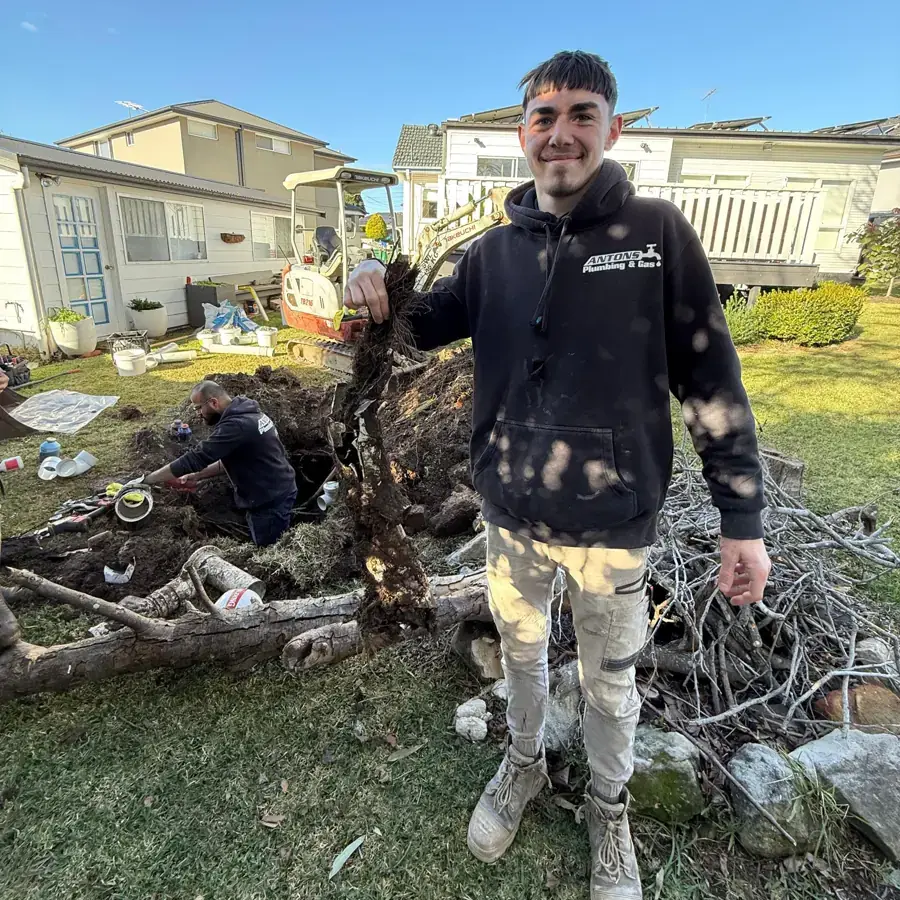 Antons plumber holding roots removed during drainage work
